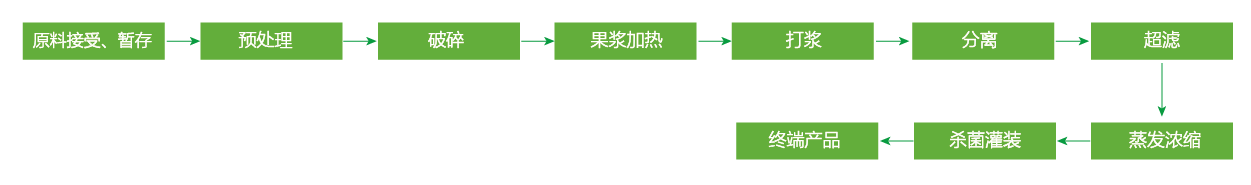 藍(lán)莓、草莓、桑葚濃縮汁